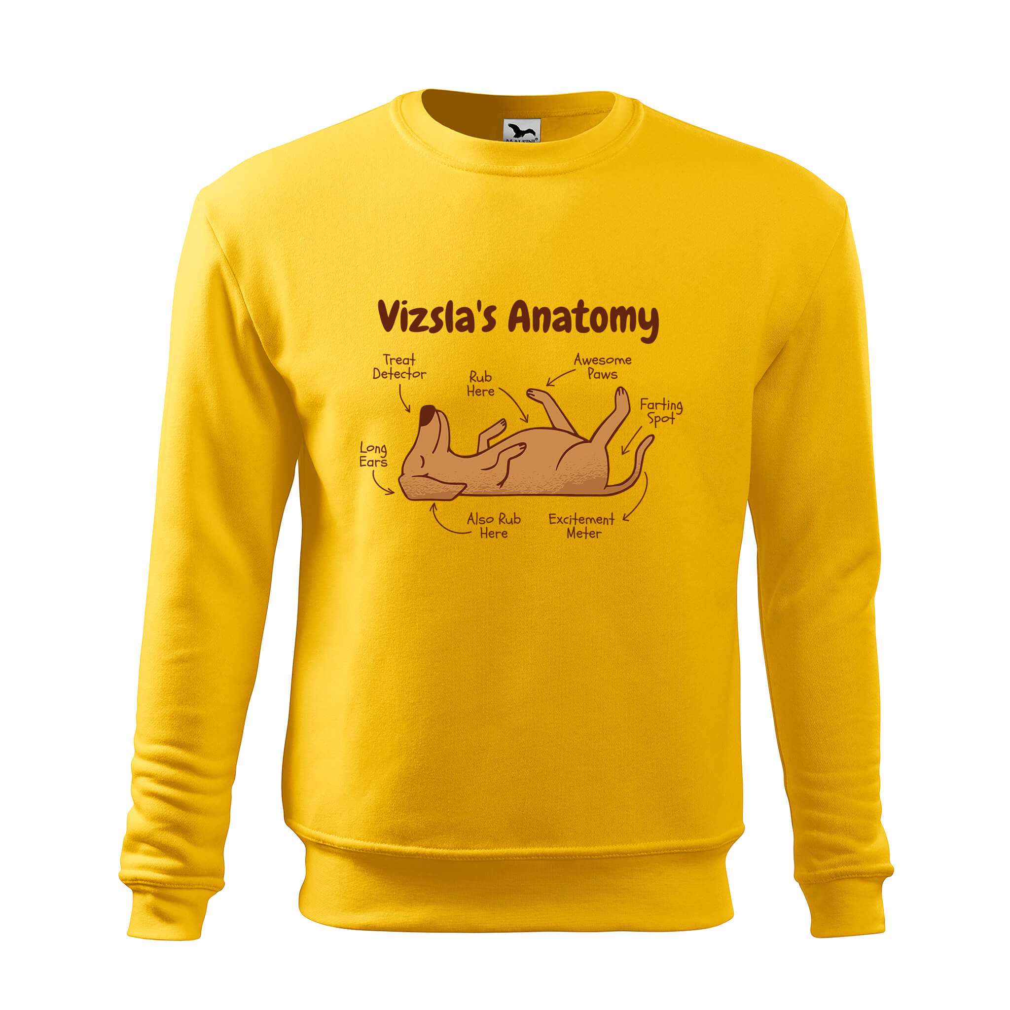 Anatomy of vizsla sweatshirt mens rvdesignprint